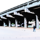 Illustration for article titled Roll Call